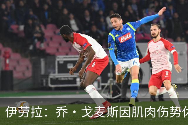 伊劳拉：乔·戈麦斯因肌肉伤势休战数周，确定会错过英超开局阶段